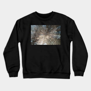 Muted autumn tones abstract Crewneck Sweatshirt